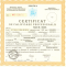 diploma_masaj image Diploma